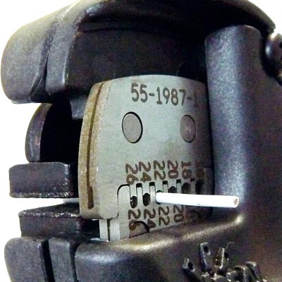 サンプル画像_7