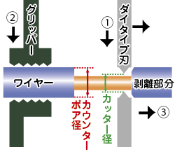 ストリップ動作