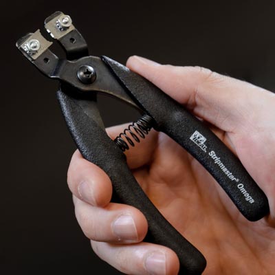 サンプル画像_5