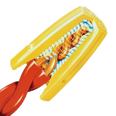 サンプル画像_5