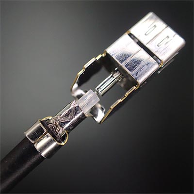 サンプル画像_7