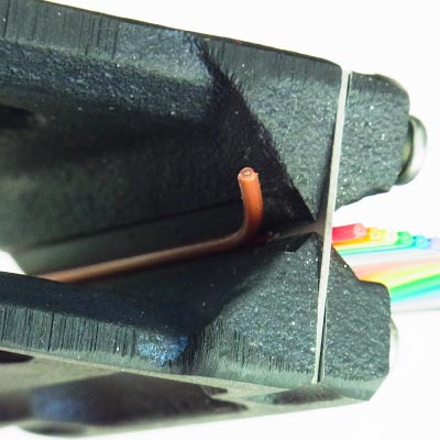 サンプル画像_4