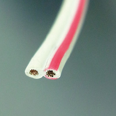 サンプル画像_5