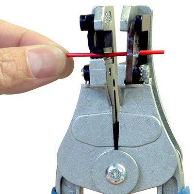 サンプル画像_2