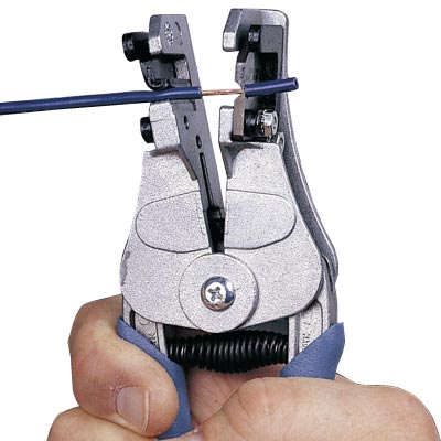 サンプル画像_7