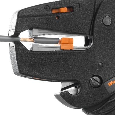 サンプル画像_5