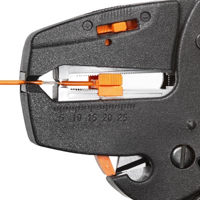 サンプル画像_6