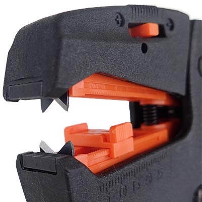 サンプル画像_2